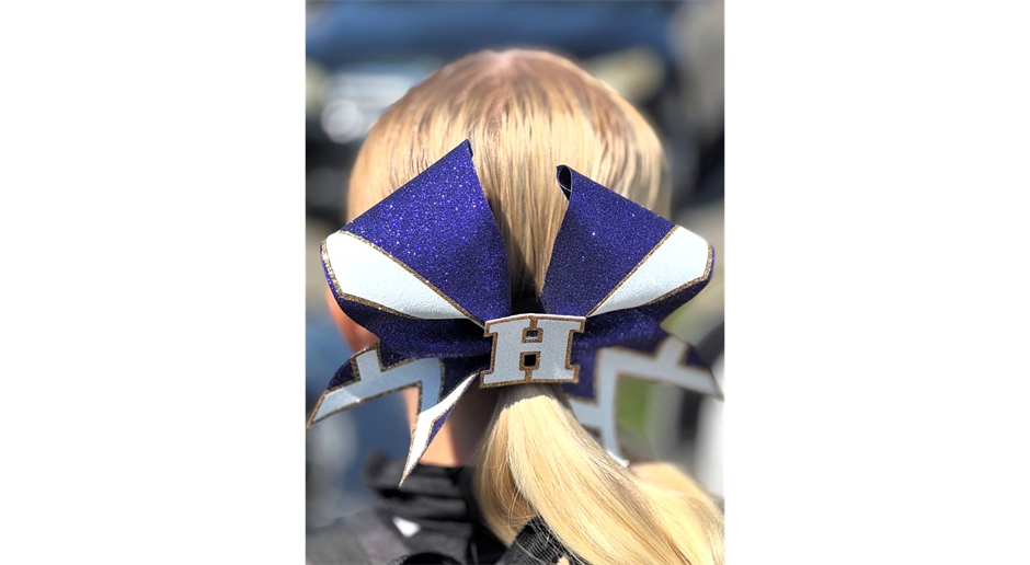 2026 Hollister Vikings Cheer